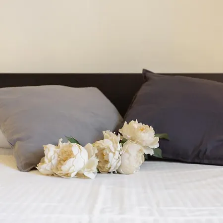Apartment Innpisarentals 2- Casa Dei Cavalieri Pisa
